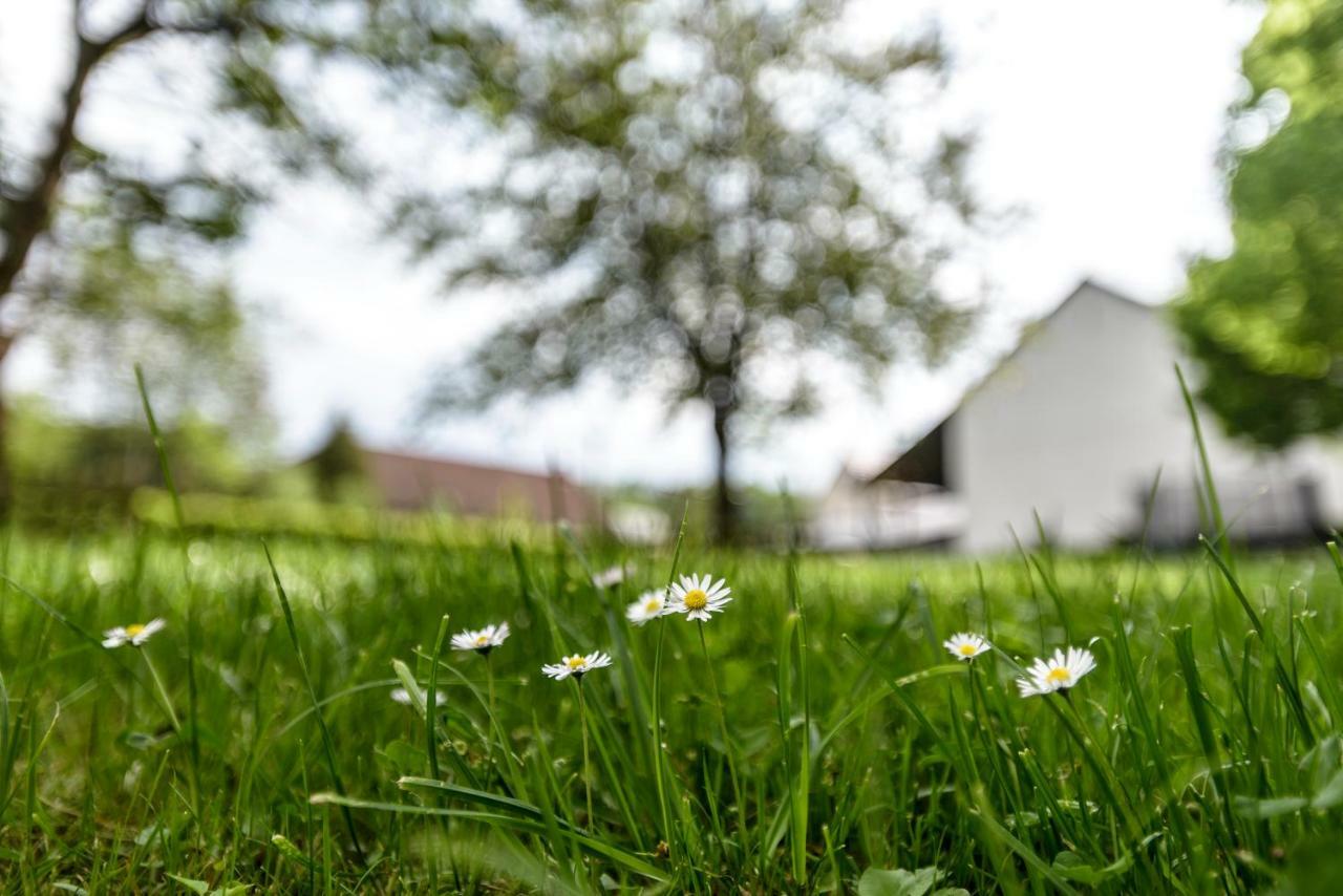 Nengshof Ferienwohnung Wildrose Wissmannsdorf Exterior foto